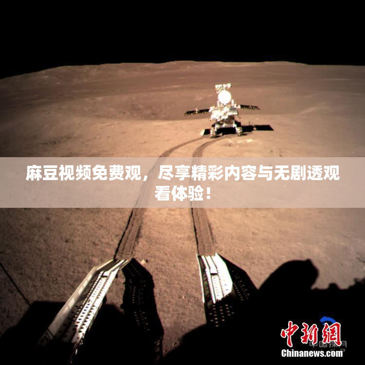 麻豆视频免费观，尽享精彩内容与无剧透观看体验！
