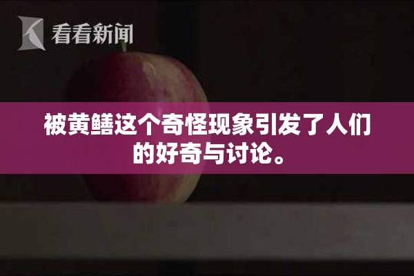 被黄鳝这个奇怪现象引发了人们的好奇与讨论。