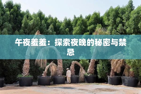 午夜羞羞：探索夜晚的秘密与禁忌