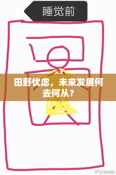 田野忧虑，未来发展何去何从？
