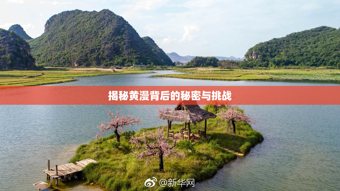 揭秘黄漫背后的秘密与挑战