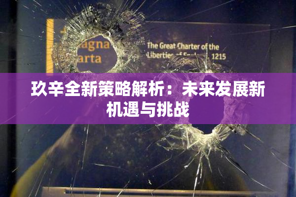 玖辛全新策略解析：未来发展新机遇与挑战