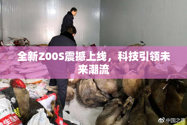 全新Z00S震撼上线，科技引领未来潮流
