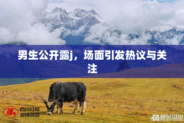 男生公开露j，场面引发热议与关注