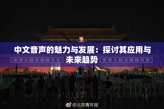 中文音声的魅力与发展：探讨其应用与未来趋势