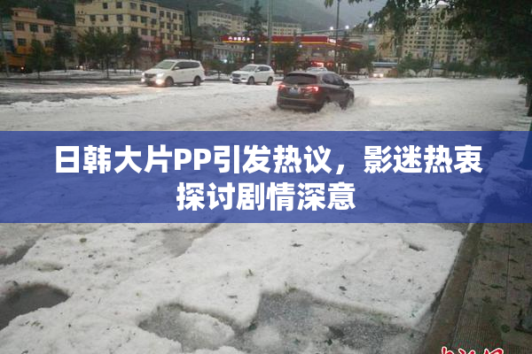 日韩大片PP引发热议，影迷热衷探讨剧情深意