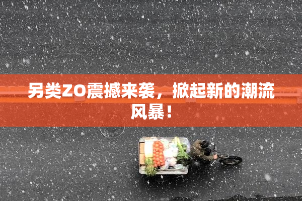 另类ZO震撼来袭，掀起新的潮流风暴！