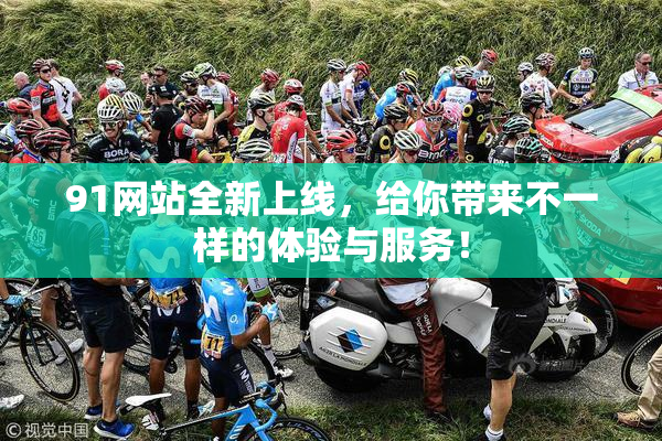 91网站全新上线，给你带来不一样的体验与服务！