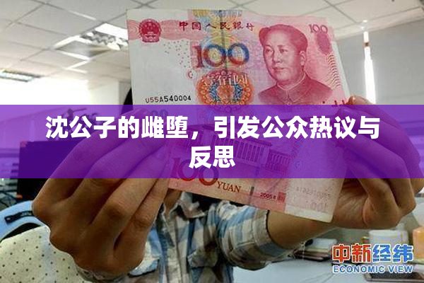 沈公子的雌堕，引发公众热议与反思