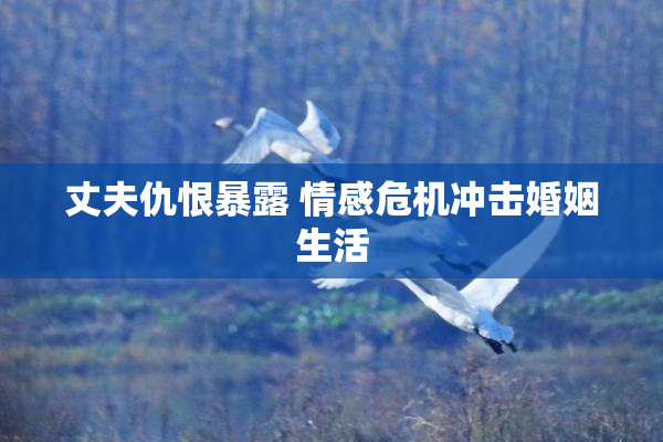 丈夫仇恨暴露 情感危机冲击婚姻生活
