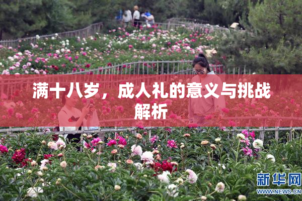 满十八岁，成人礼的意义与挑战解析