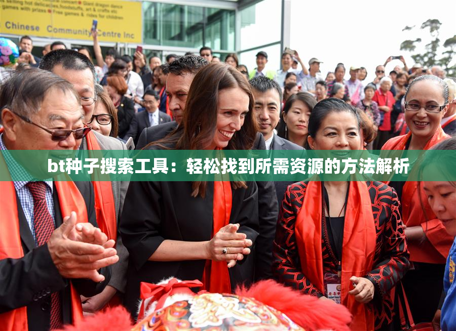 bt种子搜索工具：轻松找到所需资源的方法解析