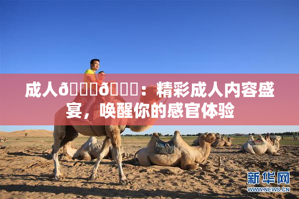 成人🍆🍑：精彩成人内容盛宴，唤醒你的感官体验