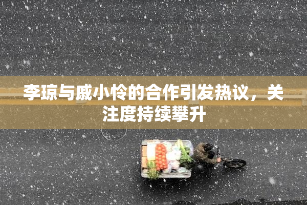 李琼与戚小怜的合作引发热议，关注度持续攀升