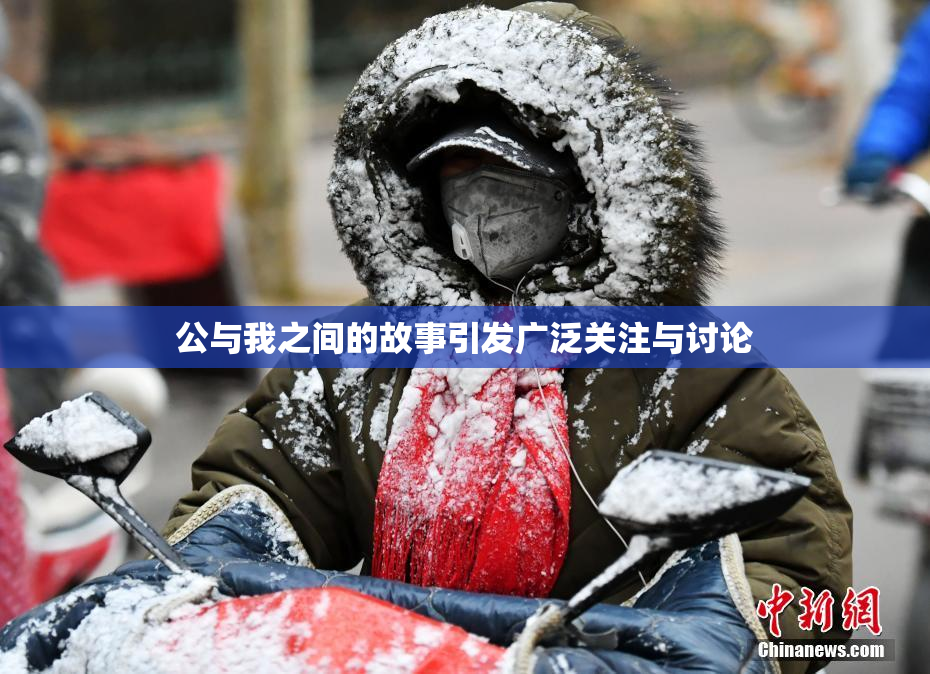 公与我之间的故事引发广泛关注与讨论