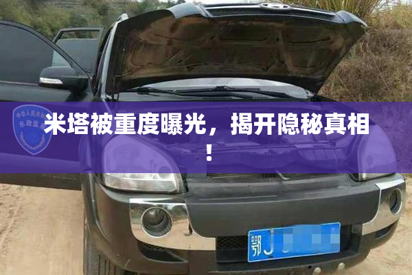 米塔被重度曝光，揭开隐秘真相！