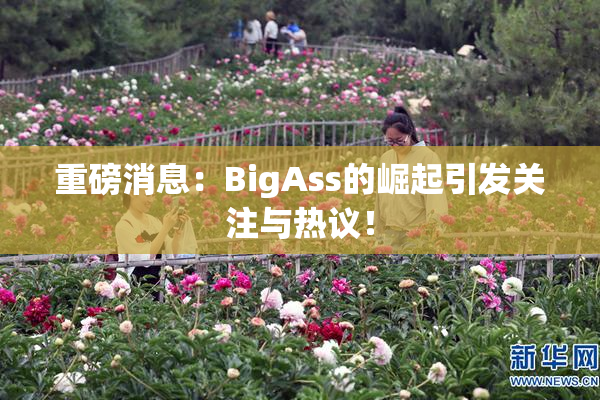 重磅消息：BigAss的崛起引发关注与热议！