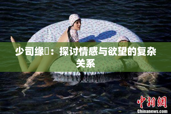 少司缘婬：探讨情感与欲望的复杂关系