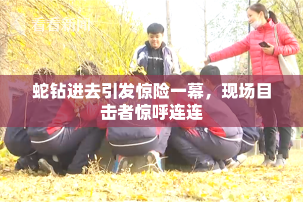 蛇钻进去引发惊险一幕，现场目击者惊呼连连