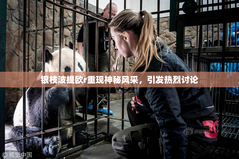 银枝波提欧r重现神秘风采，引发热烈讨论