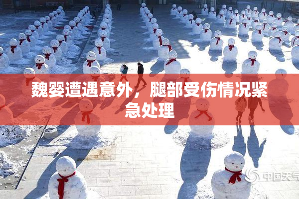 魏婴遭遇意外，腿部受伤情况紧急处理