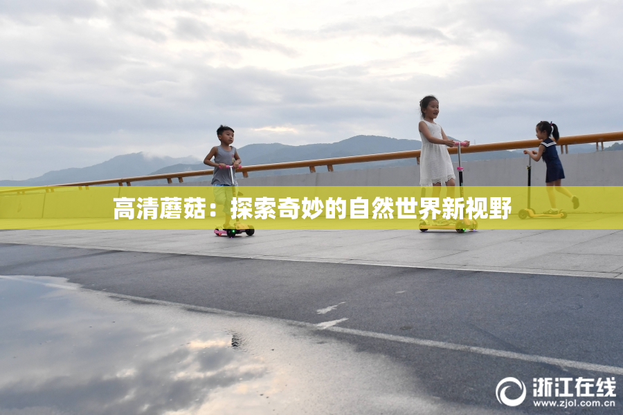 高清蘑菇：探索奇妙的自然世界新视野
