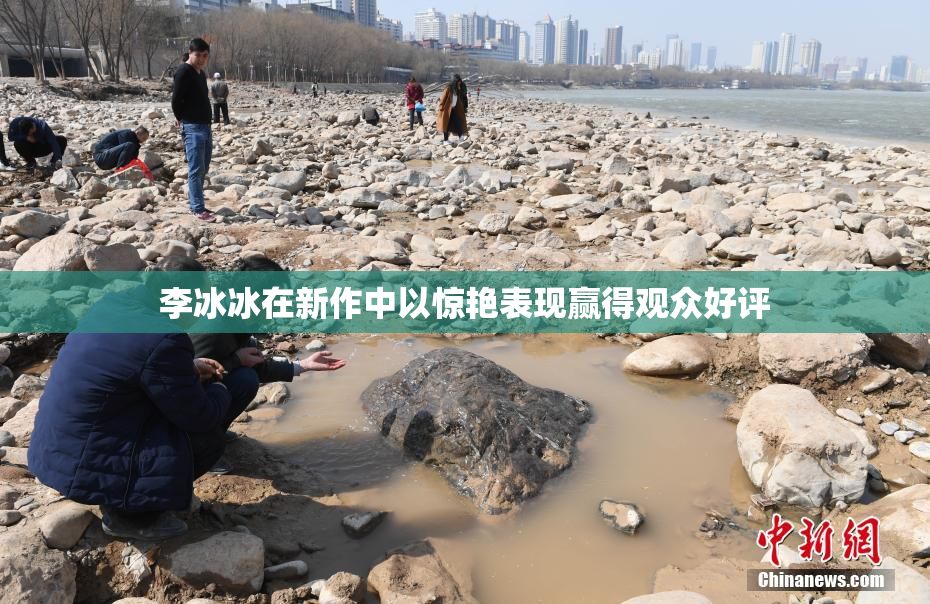 李冰冰在新作中以惊艳表现赢得观众好评