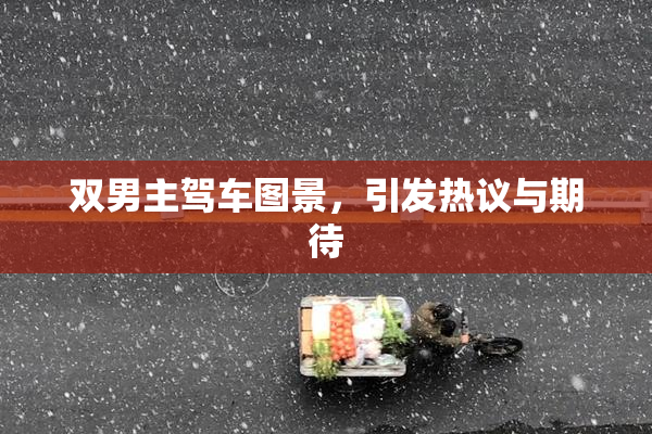 双男主驾车图景，引发热议与期待