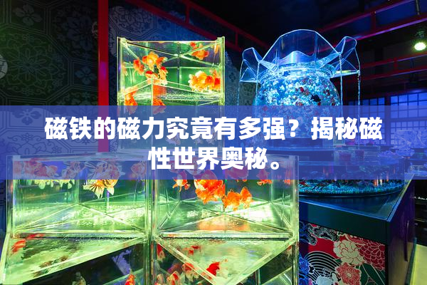 磁铁的磁力究竟有多强？揭秘磁性世界奥秘。