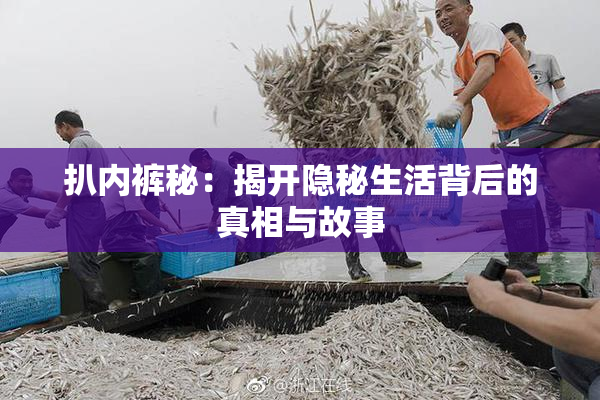 扒内裤秘：揭开隐秘生活背后的真相与故事