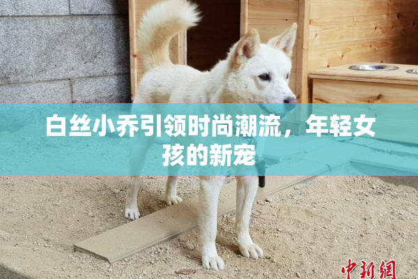 白丝小乔引领时尚潮流，年轻女孩的新宠