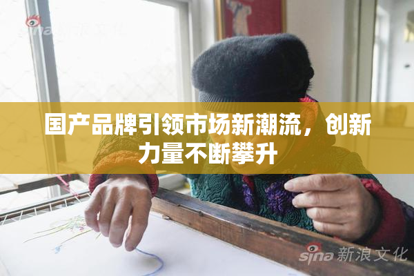 国产品牌引领市场新潮流，创新力量不断攀升