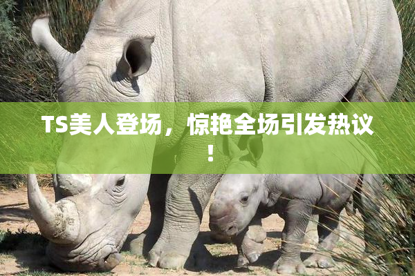 TS美人登场，惊艳全场引发热议！