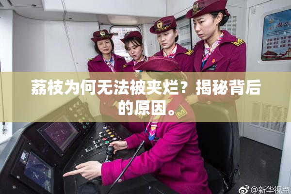 荔枝为何无法被夹烂？揭秘背后的原因。