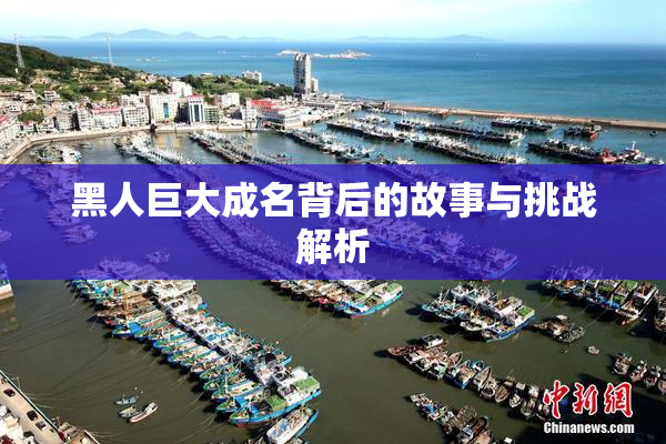 黑人巨大成名背后的故事与挑战解析