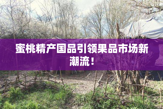 蜜桃精产国品引领果品市场新潮流！