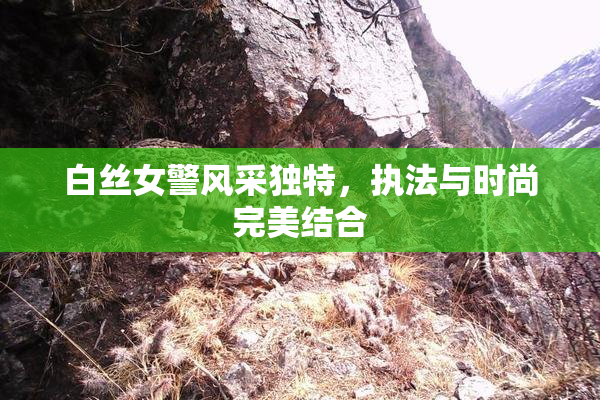 白丝女警风采独特，执法与时尚完美结合