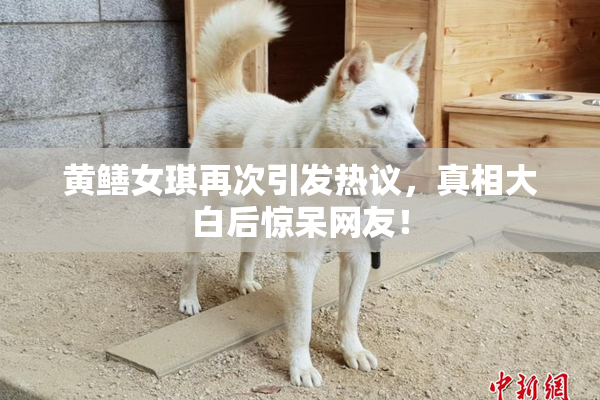 黄鳝女琪再次引发热议，真相大白后惊呆网友！
