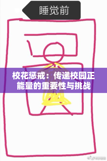 校花惩戒：传递校园正能量的重要性与挑战