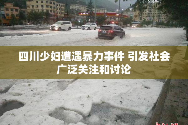 四川少妇遭遇暴力事件 引发社会广泛关注和讨论