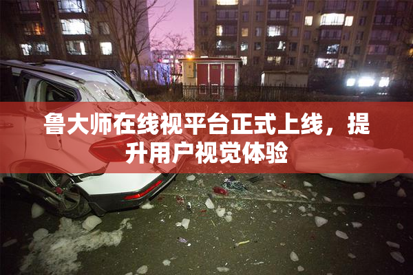鲁大师在线视平台正式上线，提升用户视觉体验
