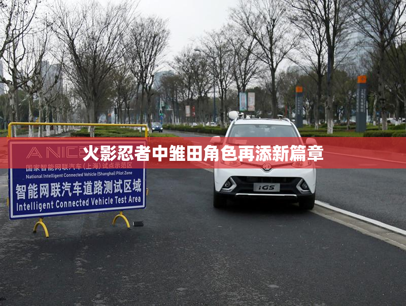 火影忍者中雏田角色再添新篇章