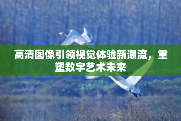 高清图像引领视觉体验新潮流，重塑数字艺术未来