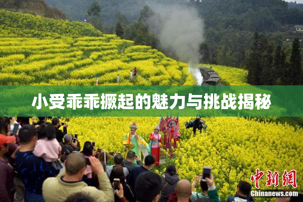 小受乖乖撅起的魅力与挑战揭秘