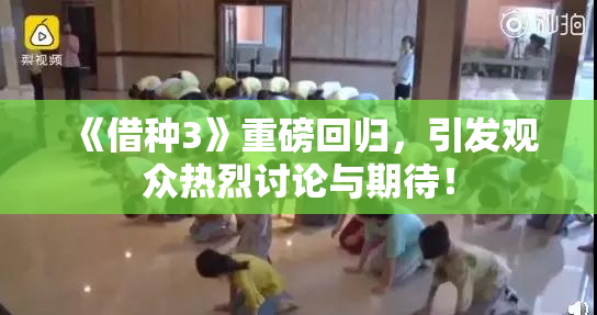 《借种3》重磅回归，引发观众热烈讨论与期待！