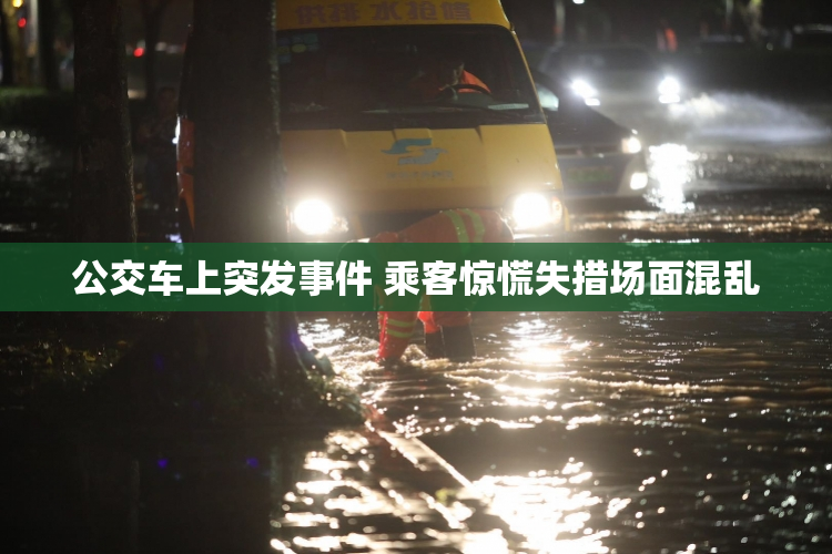 公交车上突发事件 乘客惊慌失措场面混乱