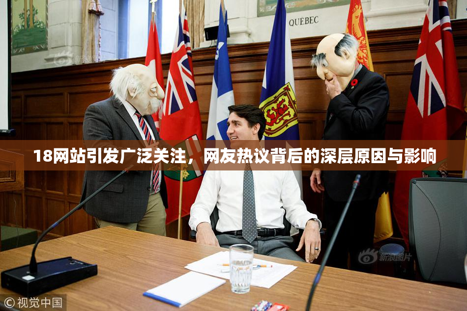 18网站引发广泛关注，网友热议背后的深层原因与影响