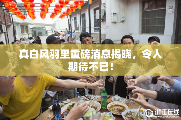 真白风羽里重磅消息揭晓，令人期待不已！