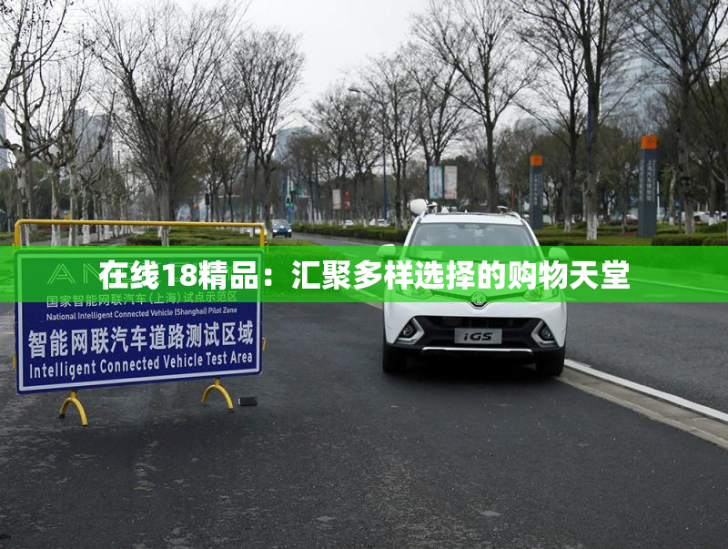 在线18精品：汇聚多样选择的购物天堂