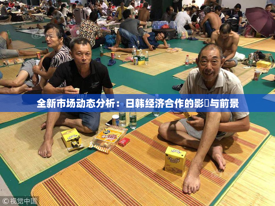 全新市场动态分析：日韩经济合作的影響与前景